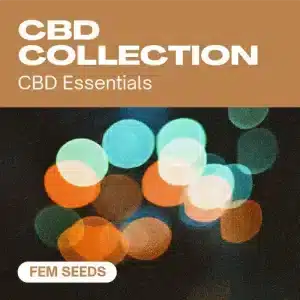 CBD Collection: semillas ricas en CBD para cultivos de calidad.