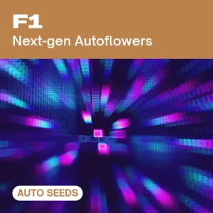 F1 AUTO | Autoflorecientes de nueva generación.