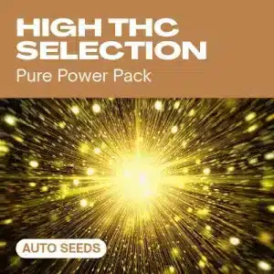 Banner de Selección de Autoflorecientes de alto THC con fondo dorado brillante y texto promocional de semillas auto.