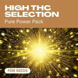 Banner de Selección Fem de Alto THC con fondo dorado brillante y texto promocional de semillas feminizadas potentes.
