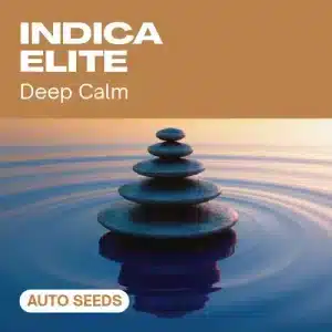 Indica Elite Auto: Diseño relajante.