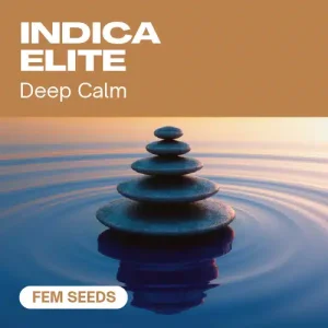 Indica Elite Fem: Estética zen y calma profunda.