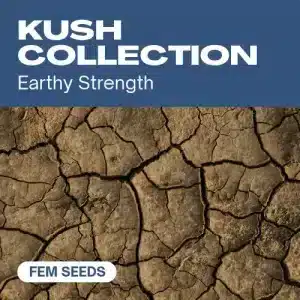 Colección Kush, representa fuerza y perfil terroso característico.