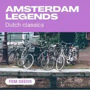 Leyendas de Ámsterdam, genéticas clásicas.