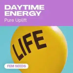 Daytime Energy: semillas para energía y enfoque diario.