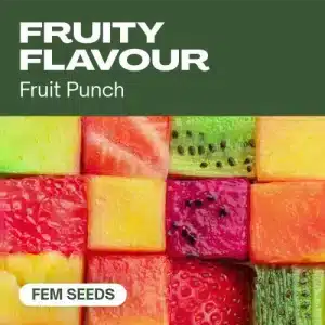 Sabor a Frutas: semillas llenas de aroma dulce y tropical.
