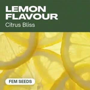 Pack Sabor Limón con diseño cítrico que destacan el perfil aromático.