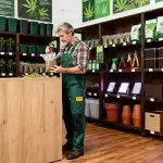 Comprar autoflorecientes SOG en tienda especializada.