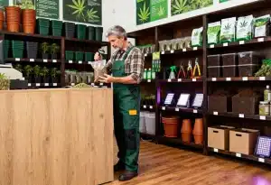 Comprar autoflorecientes SOG en tienda especializada.