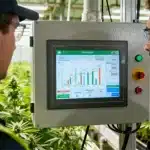 Eficiencia del agua en el cannabis con control digital avanzado.