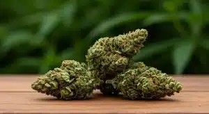 Comprar caja de cultivo Annaboto para cosechas de calidad.
