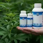 Nutrientes en cultivo de cannabis para evitar problemas en las hojas.