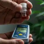 Niveles de Brix en el cannabis: Medición.