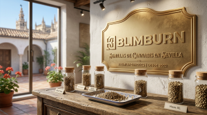 Expositor de Blimburn con semillas de cannabis en Sevilla, frascos de muestra y cartel decorativo en un espacio interior andaluz.
