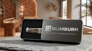 Estuche de Blimburn con semillas de cannabis en Valencia presentado sobre una mesa en un espacio interior.