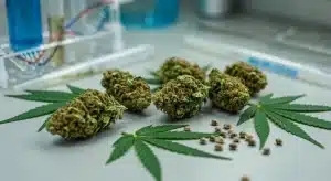 Fiabilidad de los nombres de variedades de cannabis y análisis genético.