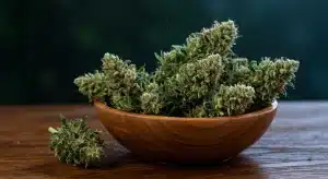 Flores maduras de Gelato x Rosetta Stone listas para su conservación después del secado.
