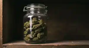 Almacenamiento de cannabis y degradación de cannabinoides.