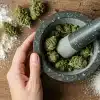 Ingredientes para elaborar un comestible de marihuana con marshmallow y cannabis triturado.