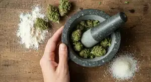 Ingredientes para elaborar un comestible de marihuana con marshmallow y cannabis triturado.