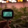 Medición de temperatura y humedad para controlar los riesgos microbianos en hidroponía.