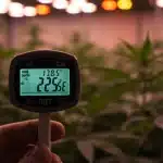 Medición de temperatura y humedad para controlar los riesgos microbianos en hidroponía.