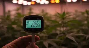 Medición de temperatura y humedad para controlar los riesgos microbianos en hidroponía.