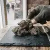 Cogollos de cannabis Ice Cream x SFV OG sobre bandeja de pizarra.